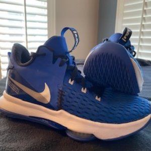 Lebron Witness 5 Basketball shoe